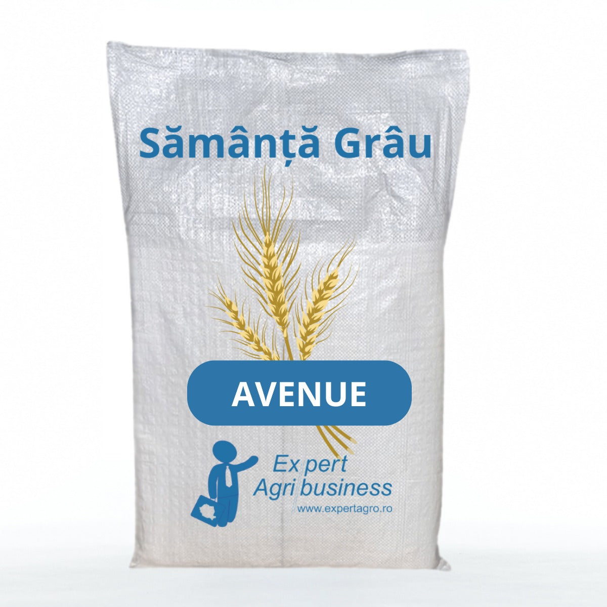 Samanta Grau AVENUE, C1