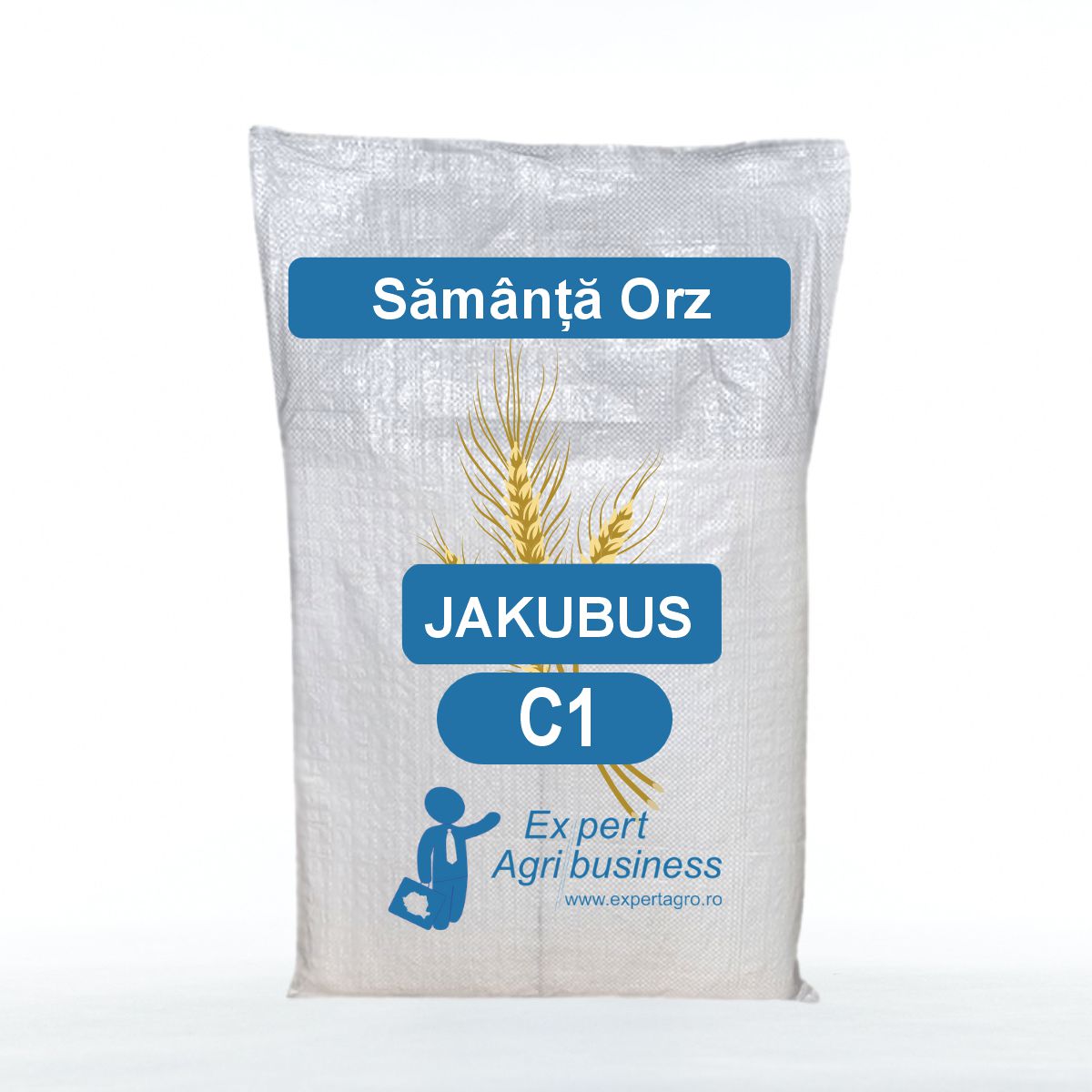 Samanta Orz JAKUBUS, C1