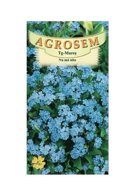 Floare de nu ma uita