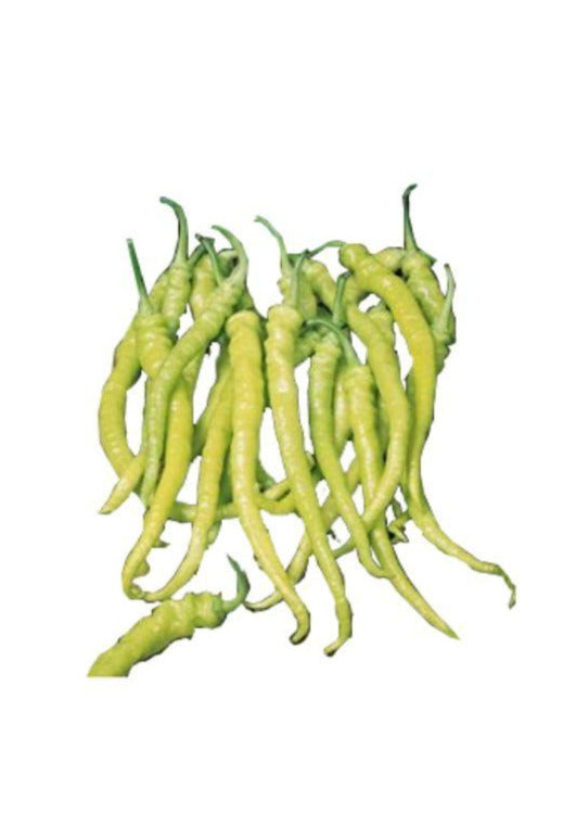 Ardei Iute Bulgaresc