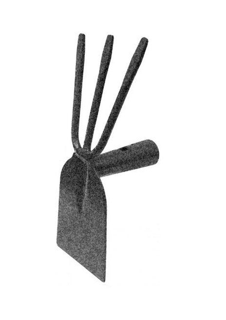 Sapaliga (fara coada)