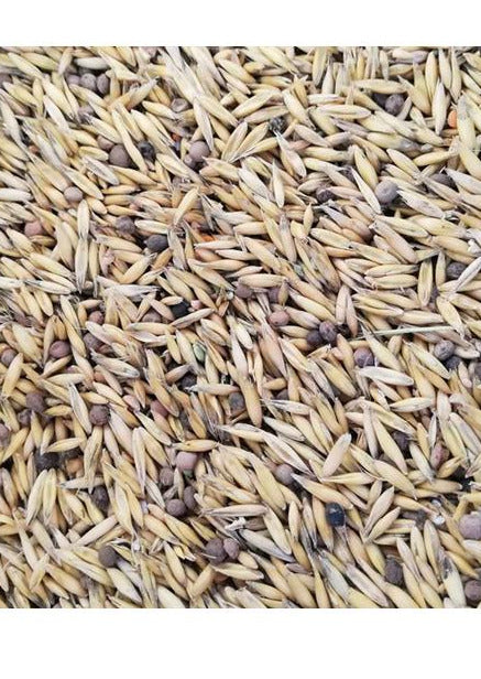 Sămânță BORCEAG MIXTURA (MAZARE+OVAZ+MAZARICHE) 20kg