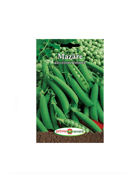 Sămânță Mazăre - KELVEDON WONDER - 500g