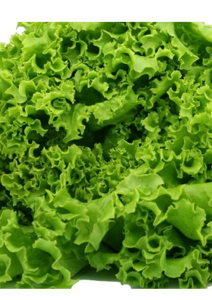 Salata Creata Lolo 3gr