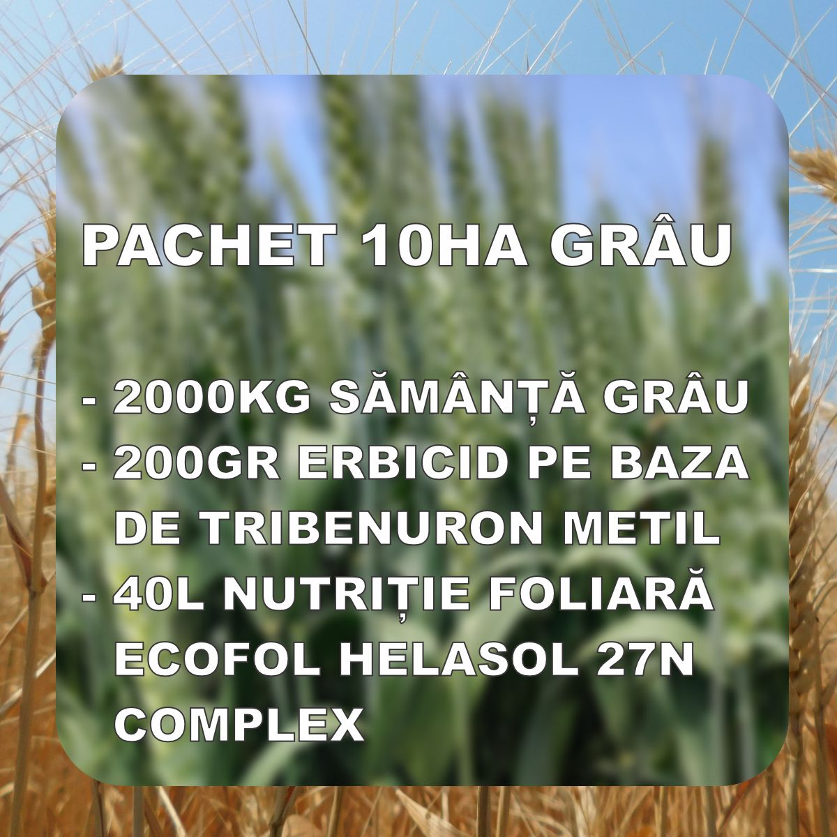 PACHET GRAU 10HA - RUBISKO c1 / ABUND c1 / AVENUE c1