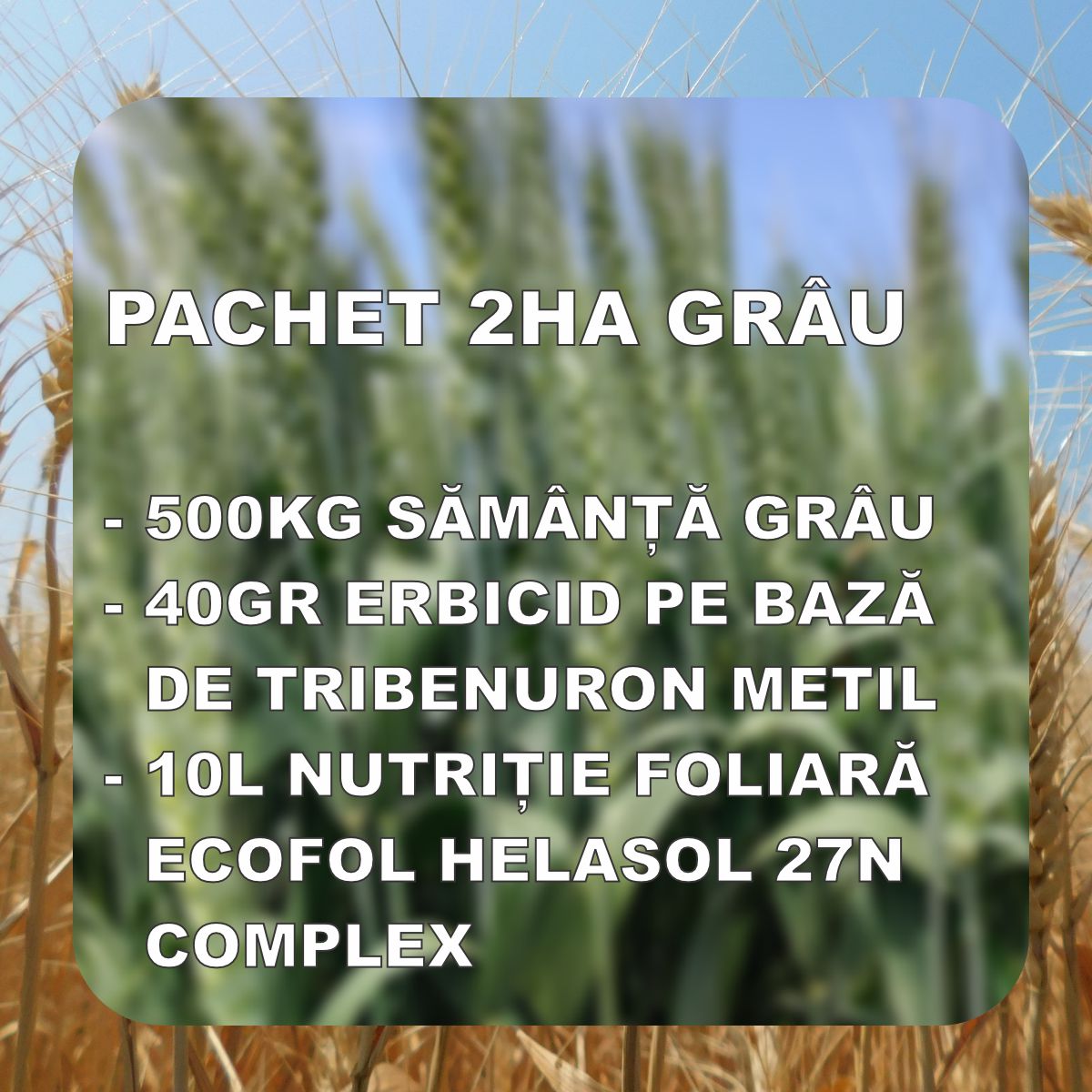 PACHET GRAU 2HA - RUBISKO C1 / ABUND C1 / AVENUE C1