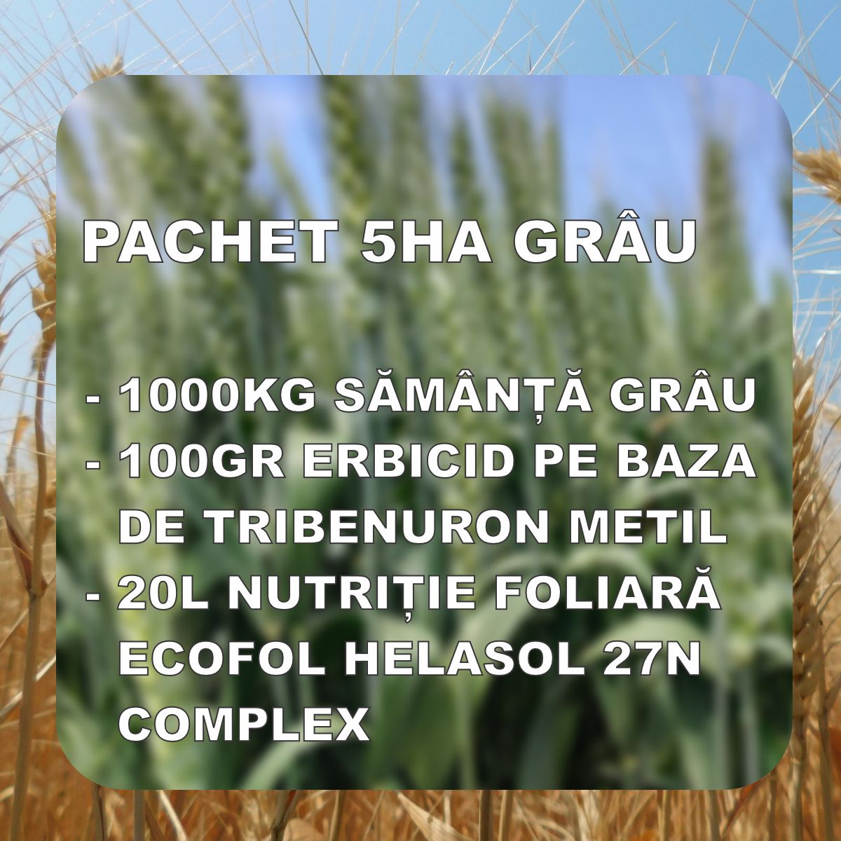 PACHET GRAU 5HA - RUBISKO C1 / ABUND C1 / AVENUE C1