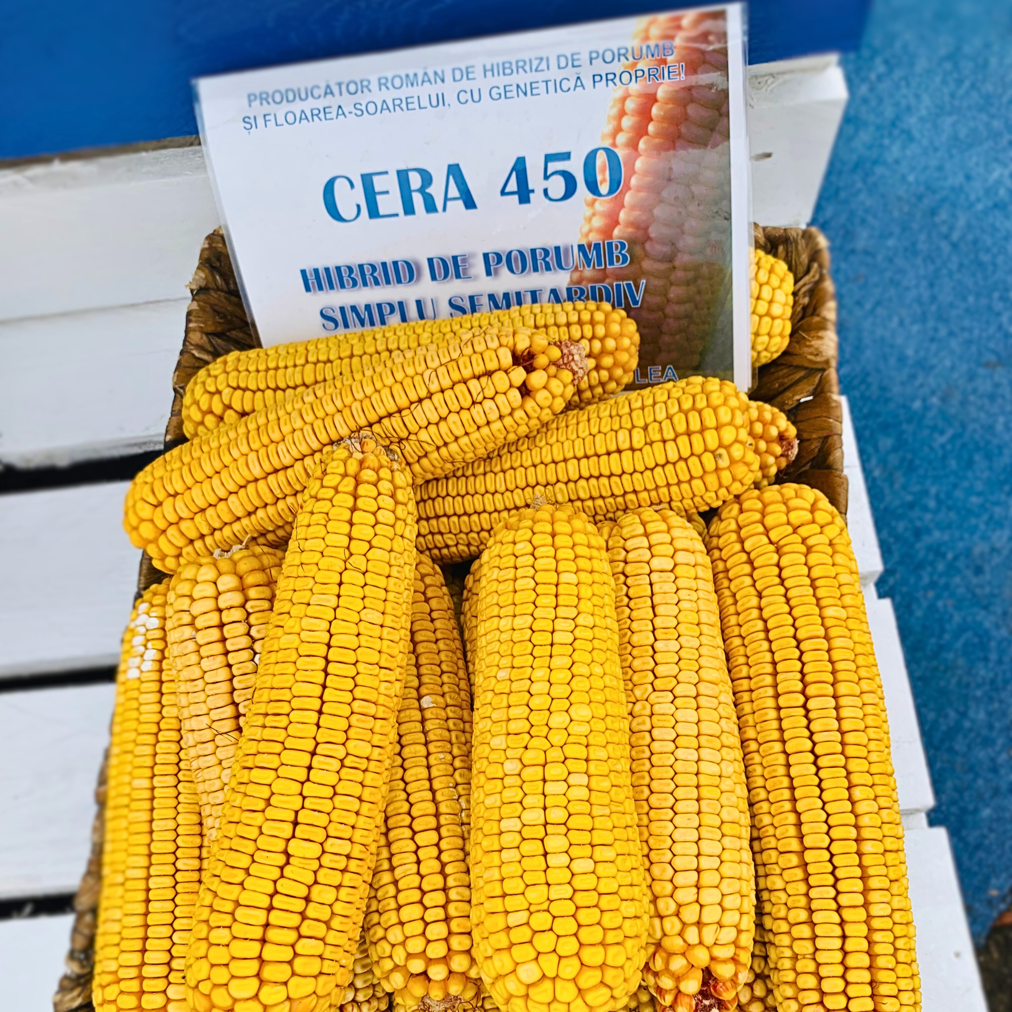 Cera 450