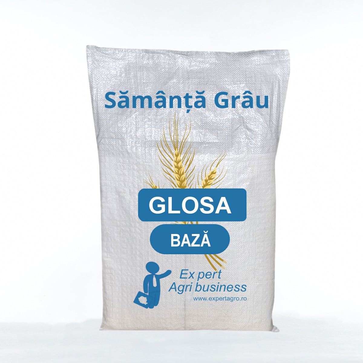 Samanta Grau GLOSA, BAZA