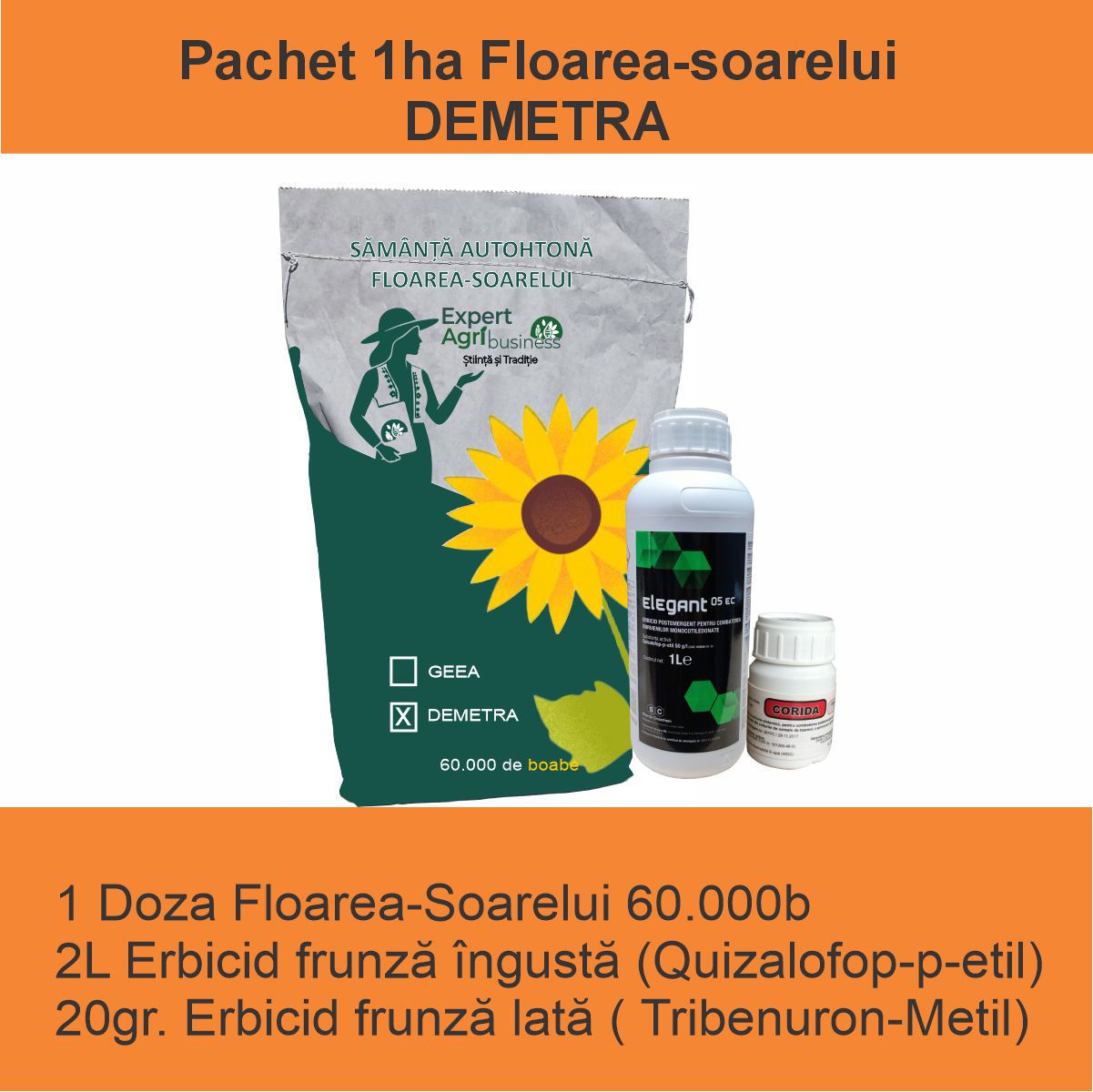 Pachet Floarea-Soarelui 1HA - DEMETRA