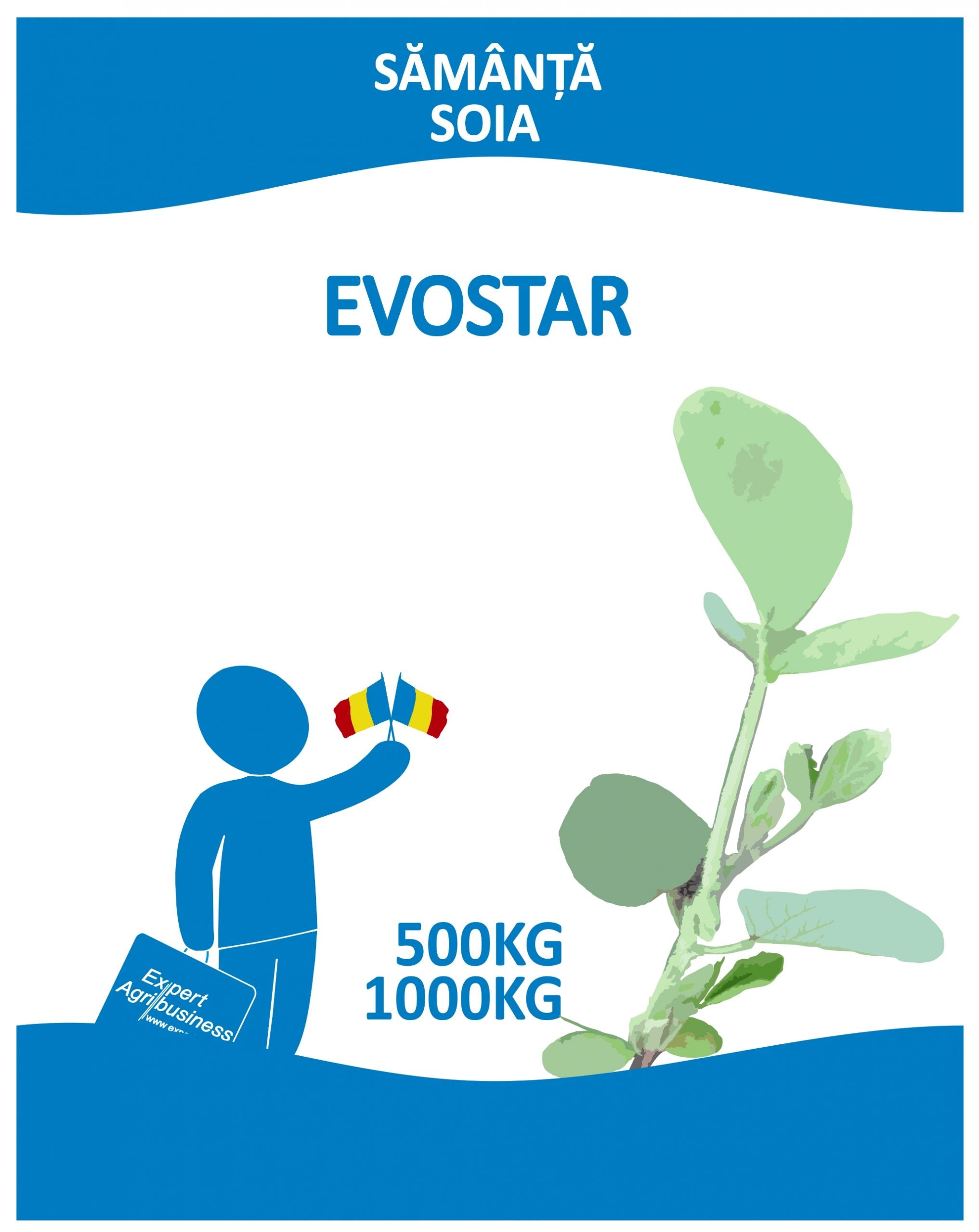 Sămânță Soia EVOSTAR - C1.