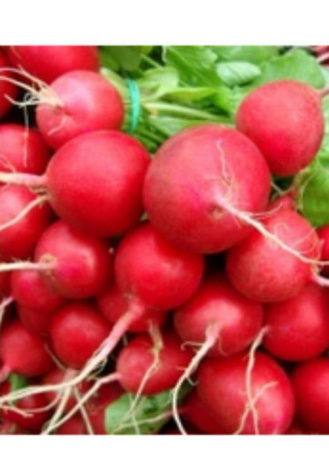 Ridichii luna Cherry 3gr