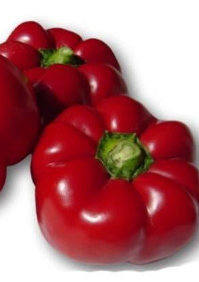 Ardei Gogosar "CREOLA"