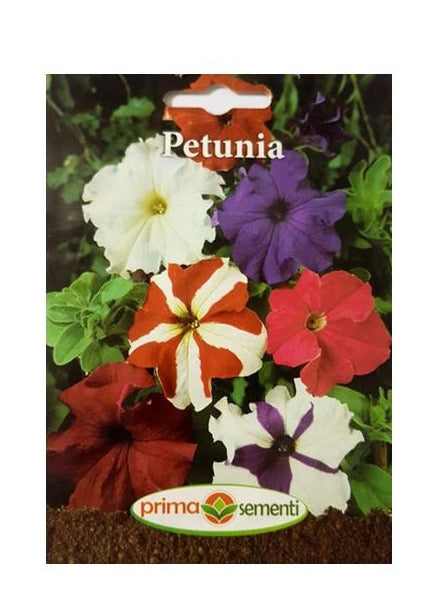Petunia